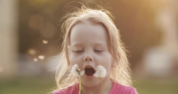 Charming Little Girl Blowing Dandelion