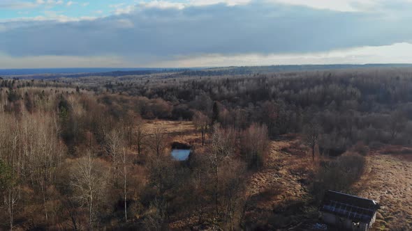 Branches of Trees Forest View with Small Pond Trees Without Leaves in the Early Spring Sun alt