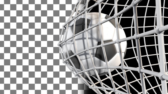 Soccer Ball In Net