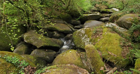 The Toul Goulic gorge, Cotes d Armor department, Brittany in France alt