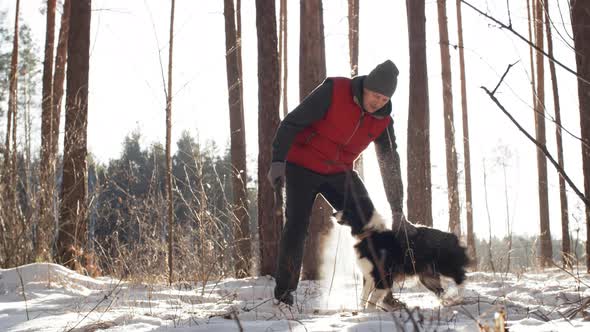 Dog Having Fun on Winter Walk alt