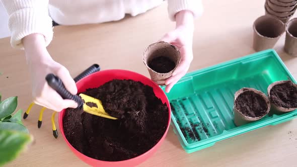 Side View of the Hands of a Young Woman Planting Seeds at Home