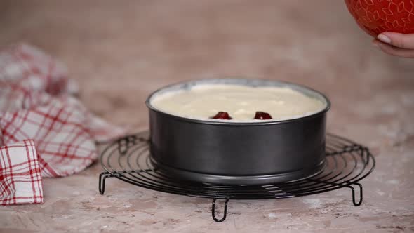 Female hands making cheesecake with cherry.	