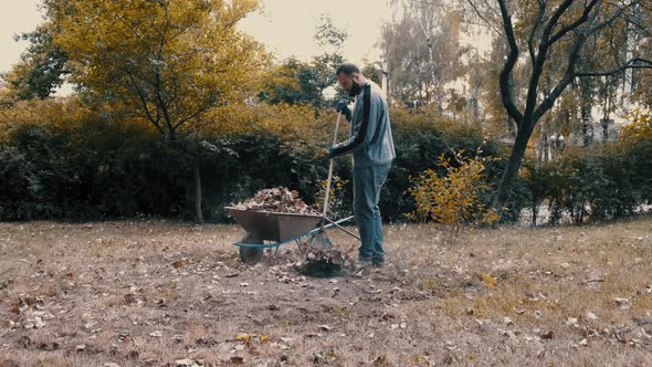 Garden Worker Raking Dry Leaves in the Garden with a Rake in Cold Weather alt