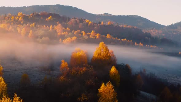 Aerial View of Mountain Forest in Low Clouds at Sunrise in Autumn