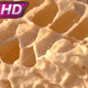 Bee and Honey - VideoHive Item for Sale