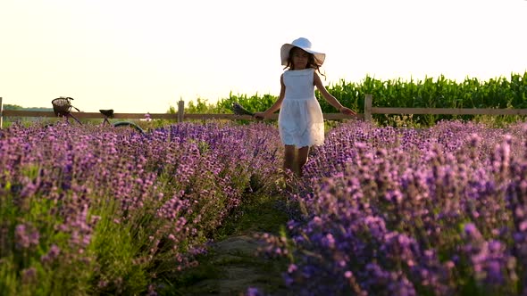 A Child in a Lavender Field alt
