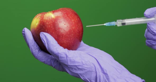 Female Scientist Makes a Injection with a Medicine Syringe in Apple alt