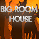 Big Room Party Big Room Party
