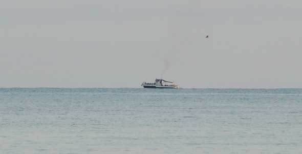 Boat Floats On The Sea