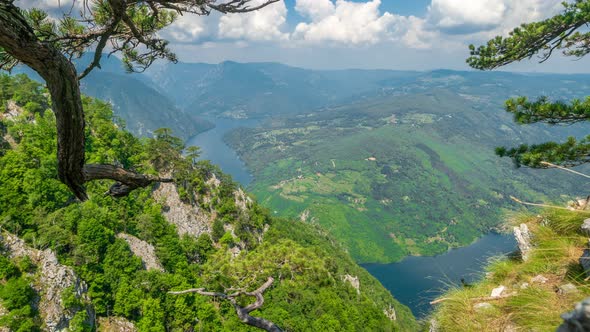 Trees on the Banjska Stena Rock at Tara Mountain Looking Down to Canyon of Drina River in Serbia alt