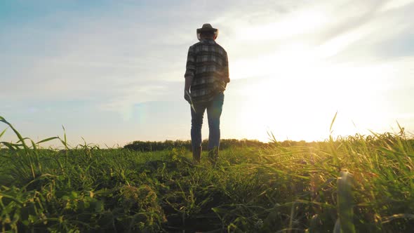 Agriculture Industry alt