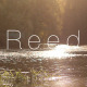 Reeds By The River ( 2 in 1 ) - VideoHive Item for Sale