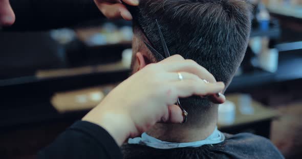 Stylist Works with Scissors and a Comb Cuts a Man with Gray Hair alt
