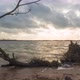 Tree trunk washed ashore, time lapse of coastal beach waves, slider shot