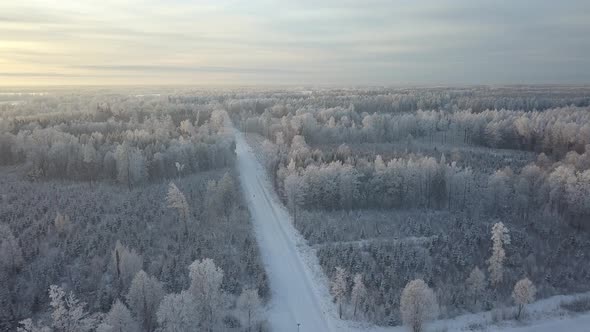 Aerial View of Sunset in the Forest alt
