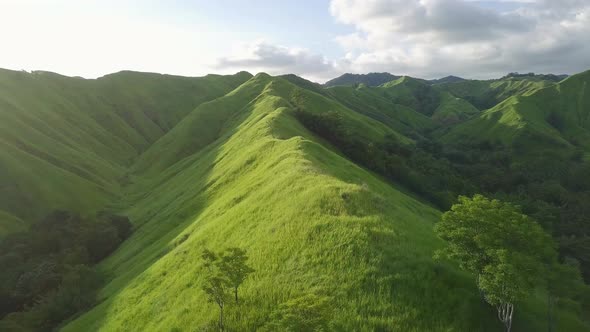 Aerial View. Flight Over a Green Grassy Hills alt