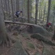 Bikes In The Forest Downhill - VideoHive Item for Sale