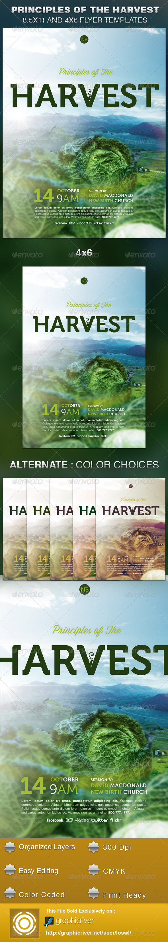 Principles of the Harvest Church Flyer Template - Church Flyers