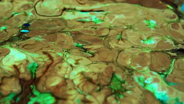 Vibrant Colours Paint Swirling Explosion alt