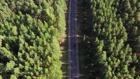 Aerial view of road through the green forest.