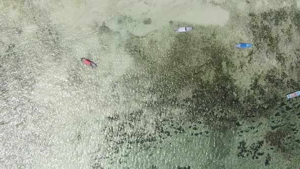 Zanzibar Tanzania  Vertical Video of the Ocean Near the Coast Slow Motion alt