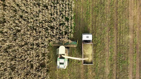 Aerial View Above Harvester Collect Corn In Field And Pour It In Truck Trailer alt