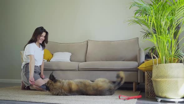 Cute Dog Follows Orders of Brunette Girl Owner in Room