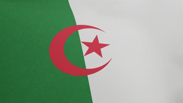 National Flag of Algeria Waving Original Size and Colors 3D Render Peoples Democratic Republic of alt