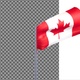 maple leaf - VideoHive Item for Sale