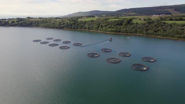 A Fish Farm in Scotland Providing Mariculture for Food Markets alt