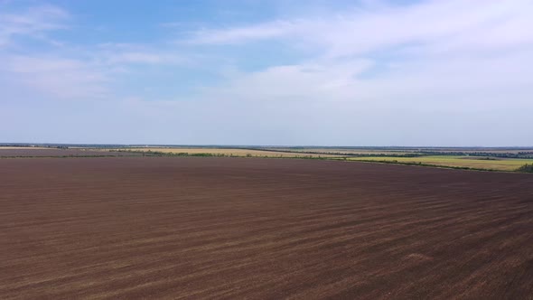 Arable fields and sunflower fields from a bird's eye view.