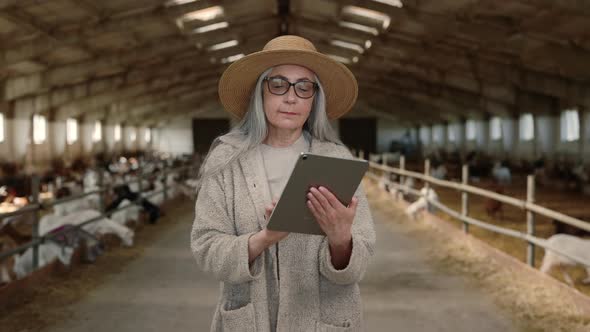 Smiling Aged Woman Working on Digital Tablet at Farmhouse alt