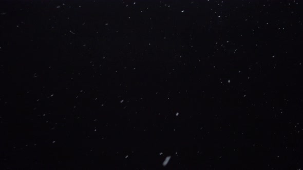 White Snow Flakes Falling at Night, Looped Footage