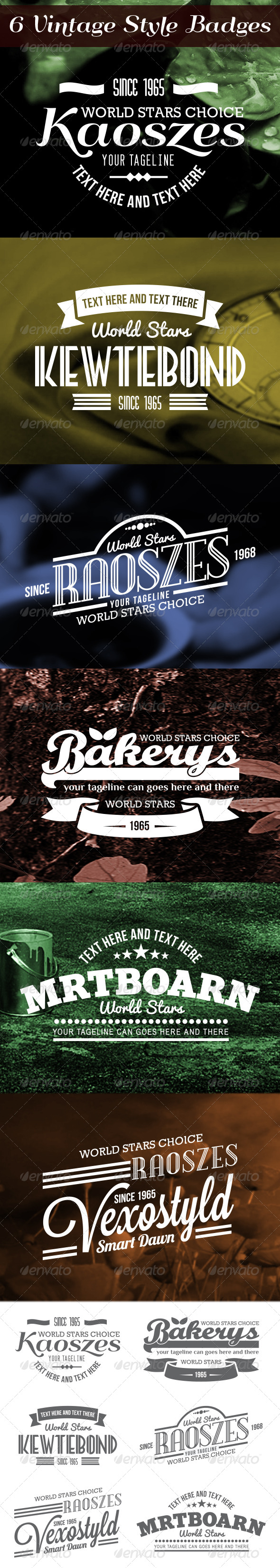 6 Stylish Vintage Badges - Badges & Stickers Web Elements