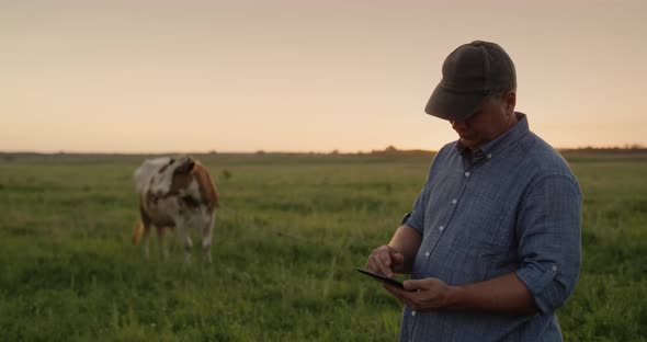 A Middleaged Farmer Works in a Pasture Uses a Tablet alt