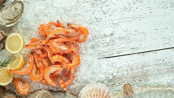 Super Slow Motion Shot of Falling Fresh Prawns Into Crushed Ice at 1000 Fps alt