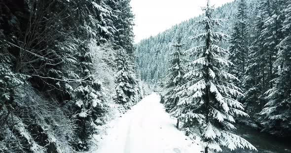 Beautiful Snowcovered Road in the Winter Forest a Mountain River Flows Nearby alt