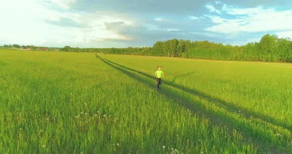 Sporty Child Runs Through a Green Wheat Field alt