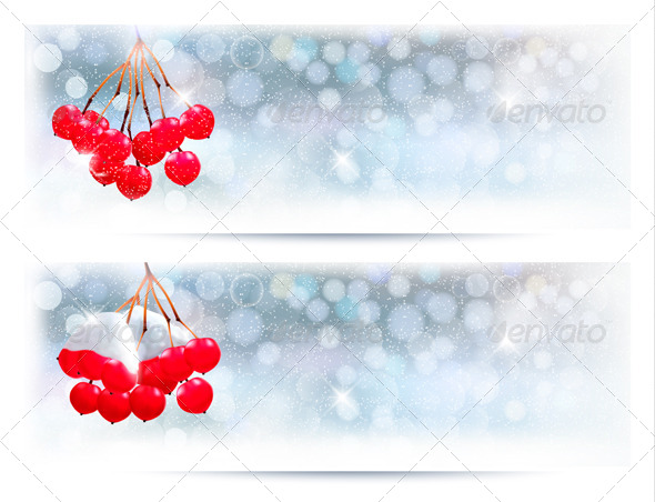 Holiday Banners with Christmas Branch with Berries - Christmas Seasons/Holidays