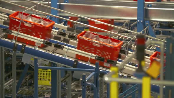 Packaging and logistics, automated logistics management systems alt