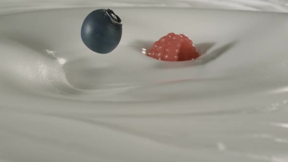 Fresh red-black raspberries and blueberries rain on yogurt in slow motion – Close up