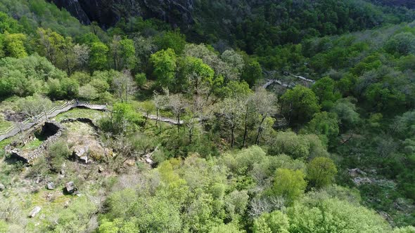 People on Walkway in Beautiful Nature alt