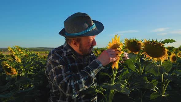 Agriculture Quality Control alt