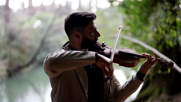A Musician Plays a Classical Stringed Instrument in the Park alt