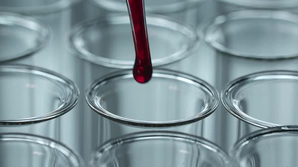 Blood Drops In The Lab  alt