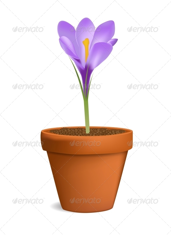 Crocuses in Flowerpot Vector Illustration - Flowers & Plants Nature