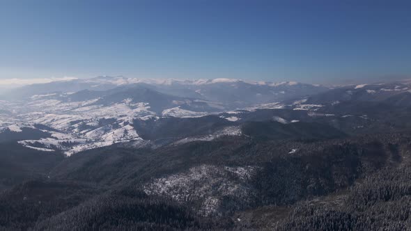 Scenic Landscape of Winter Carpathians Forest and Mountain Valleys Aerial Drone View  Video