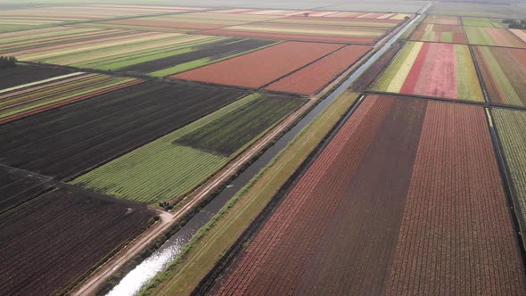  Aerial View Of Colorful Farm Fields