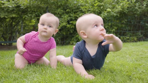 Two Cute Little Babies on Grass  Closeup